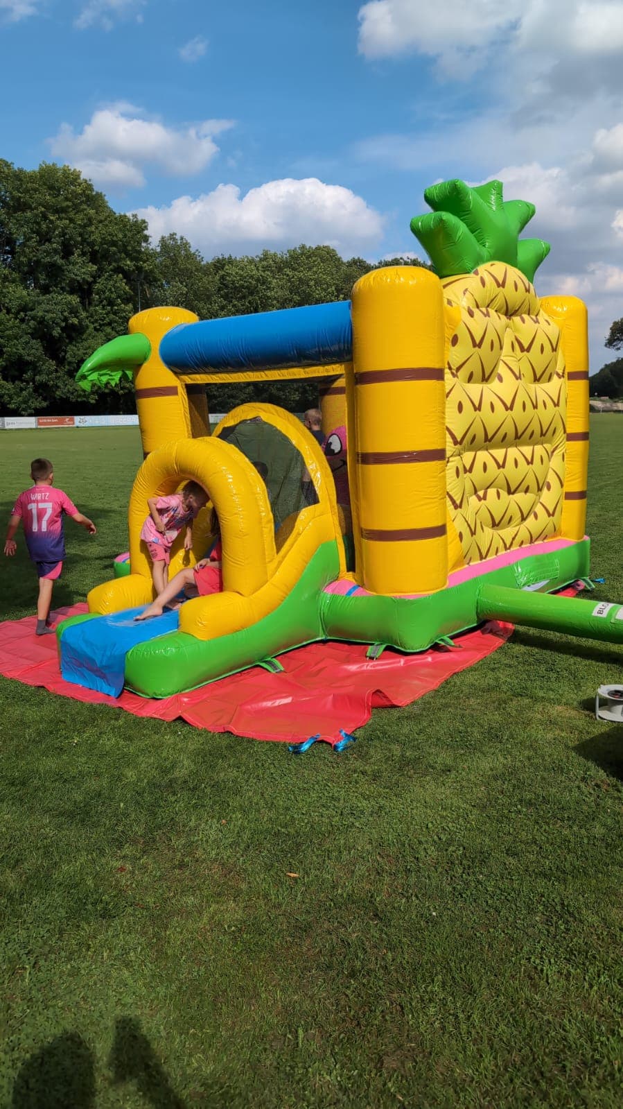 Bouncy Hawaii